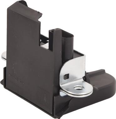 BAPMIC BF0113690054 - Замок задніх дверей autocars.com.ua