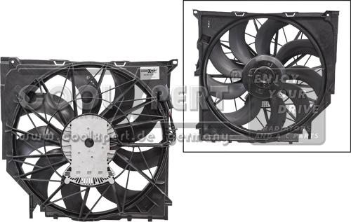 BBR Automotive 003-60-11385 - Вентилятор, охолодження двигуна autocars.com.ua