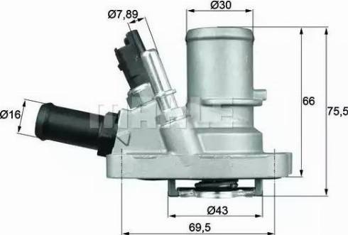 Behr TI 144 88 - Термостат, охолоджуюча рідина autocars.com.ua