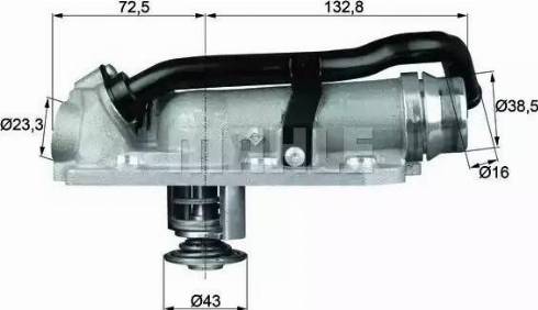 Behr TM 8 105 - Термостат, охолоджуюча рідина autocars.com.ua