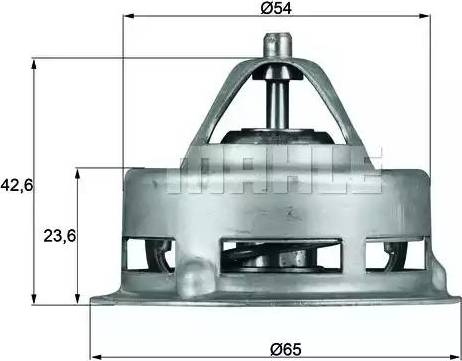 Behr TX 2 79 - Термостат, охолоджуюча рідина autocars.com.ua