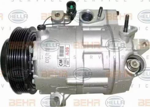 BEHR HELLA Service 8FK 351 001-281 - Компресор, кондиціонер autocars.com.ua