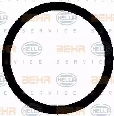 BEHR HELLA Service 8FK 351 117-021 - Компресор, кондиціонер autocars.com.ua