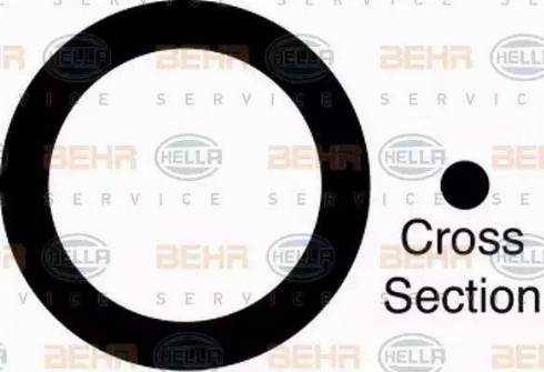 BEHR HELLA Service 9GR 351 280-831 - Комплект кілець ущільнювачів autocars.com.ua