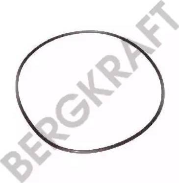 BergKraft BK28311021SP - Уплотнительное кольцо, резьбовая пробка маслосливного отверстия avtokuzovplus.com.ua