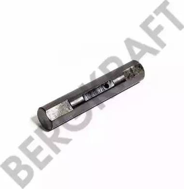 BergKraft BK7409071 - Палец ушка рессоры avtokuzovplus.com.ua