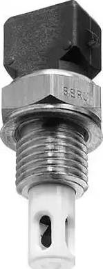 BorgWarner (BERU) ST035 - Датчик, температура впускаемого воздуха avtokuzovplus.com.ua