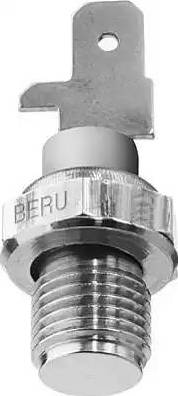 BorgWarner (BERU) ST050 - Датчик, температура охлаждающей жидкости avtokuzovplus.com.ua