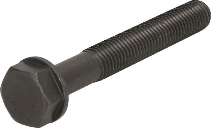 BF 20010208269 - Болт, шарнірний кронштейн - колінчастий вал autocars.com.ua