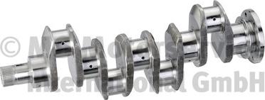 BF 20051942365 - Колінчастий вал autocars.com.ua