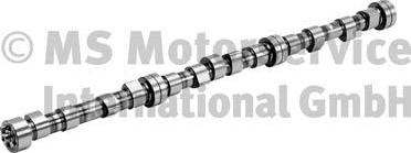 BF 20100208260 - Шток autocars.com.ua