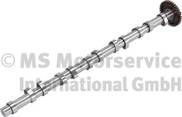 BF 20100226760 - Шток autocars.com.ua