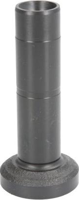 BF 20100390660 - Штовхач, гидрокомпенсатор autocars.com.ua