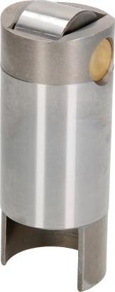 BF 20100914569 - Штовхач, гидрокомпенсатор autocars.com.ua