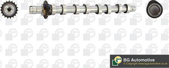 BGA CS5531 - Распредвал autodnr.net