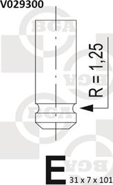 BGA V029300 - Випускний клапан autocars.com.ua