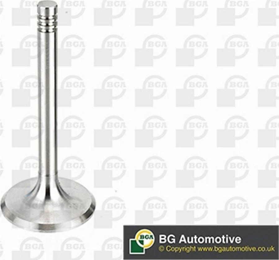 BGA V033313 - Впускний клапан autocars.com.ua