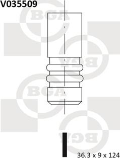 BGA V035509 - Выпускной клапан avtokuzovplus.com.ua