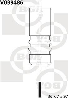 BGA V039486 - Впускний клапан autocars.com.ua