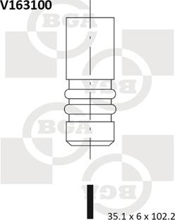 BGA V163100 - Впускной клапан avtokuzovplus.com.ua