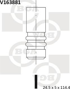 BGA V163881 - Выпускной клапан avtokuzovplus.com.ua