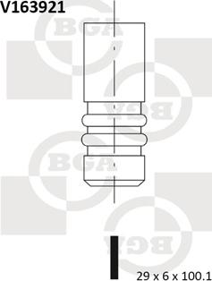 BGA V163921 - Выпускной клапан avtokuzovplus.com.ua