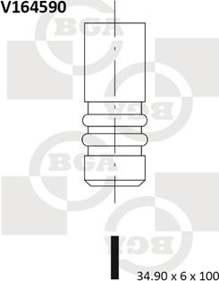 BGA V164590 - Впускний клапан autocars.com.ua