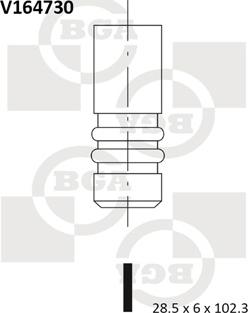 BGA V164730 - Впускной клапан avtokuzovplus.com.ua