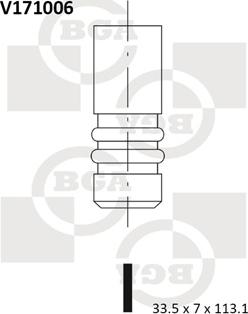 BGA V171006 - Впускной клапан avtokuzovplus.com.ua