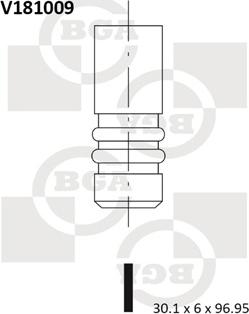 BGA V181009 - Впускний клапан autocars.com.ua