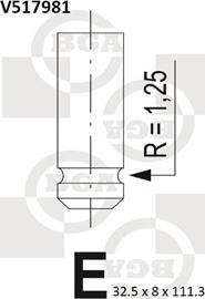 BGA V517981 - Випускний клапан autocars.com.ua