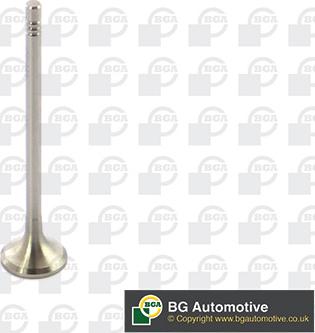 BGA V591501 - Випускний клапан autocars.com.ua