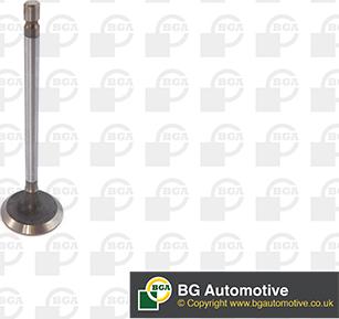 BGA V611981 - Впускний клапан autocars.com.ua