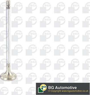 BGA V612091 - Випускний клапан autocars.com.ua