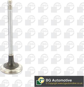 BGA V632201 - Випускний клапан autocars.com.ua