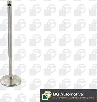 BGA V969601 - Впускний клапан autocars.com.ua