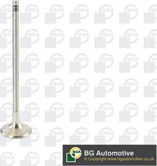 BGA V969602 - Випускний клапан autocars.com.ua