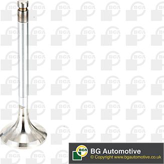 BGA V991716 - Випускний клапан autocars.com.ua