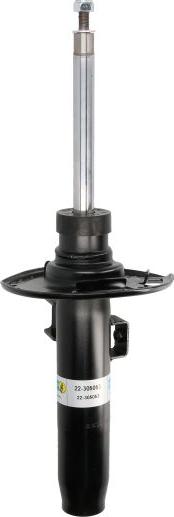 BILSTEIN 22-305053 - Амортизатор autocars.com.ua