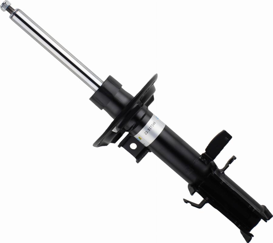 BILSTEIN 22-317346 - Амортизатор autocars.com.ua