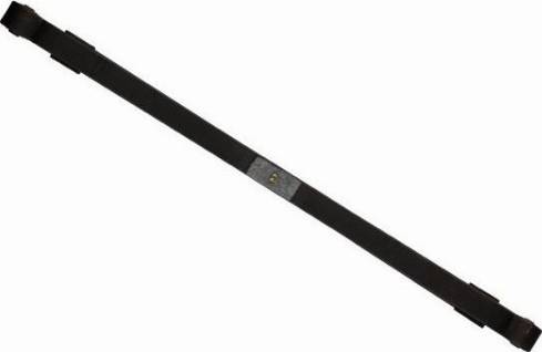 BILSTEIN 39-209122 - багатолистові ресора autocars.com.ua