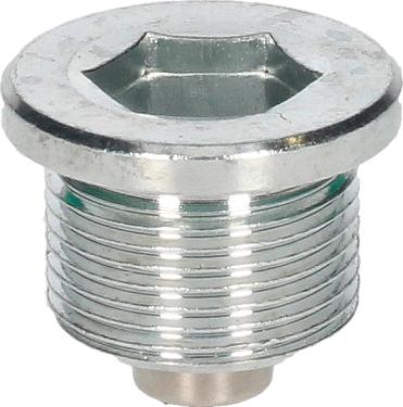 Birth 40589 - Резьбовая пробка, масляний піддон autocars.com.ua