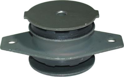 Birth 5365 - Подушка, підвіска двигуна autocars.com.ua