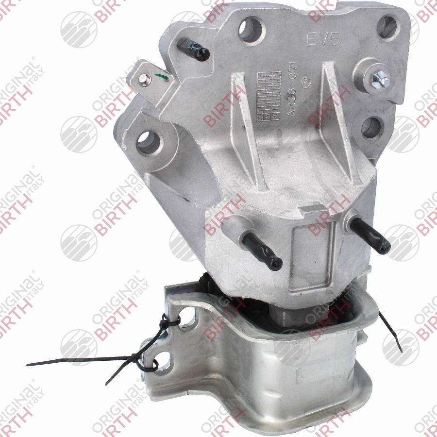 Birth 53778 - Подушка, підвіска двигуна autocars.com.ua