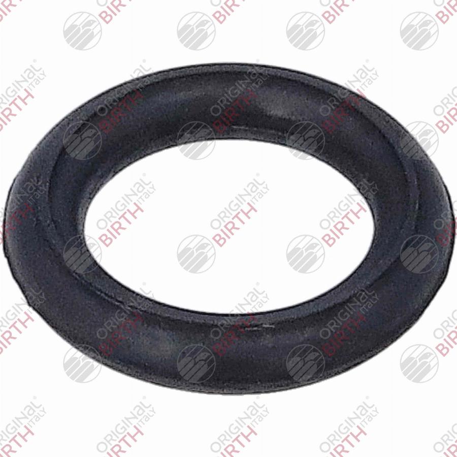 Birth 70249 - Кронштейн, втулка, система випуску autocars.com.ua