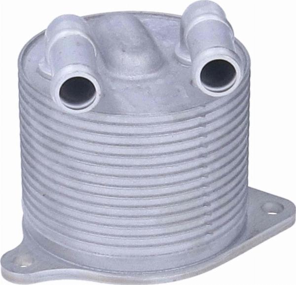 Birth 83001 - Масляний радіатор, рухове масло autocars.com.ua