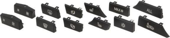 BLIC 1000-00-0067111SP - Елементи управління, кондиціонер autocars.com.ua