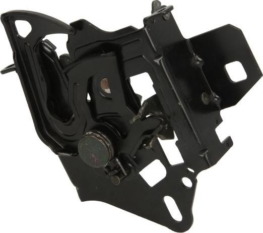 BLIC 3011-01-020210P - Замок капота autocars.com.ua