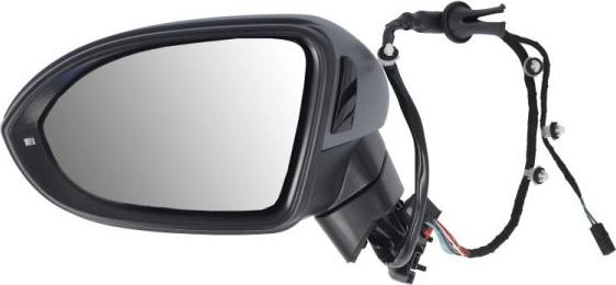 BLIC 5402-01-1585312P - Зовнішнє дзеркало autocars.com.ua