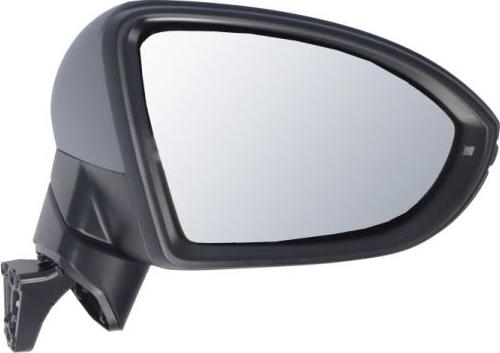 BLIC 5402-01-1617311P - Зовнішнє дзеркало autocars.com.ua